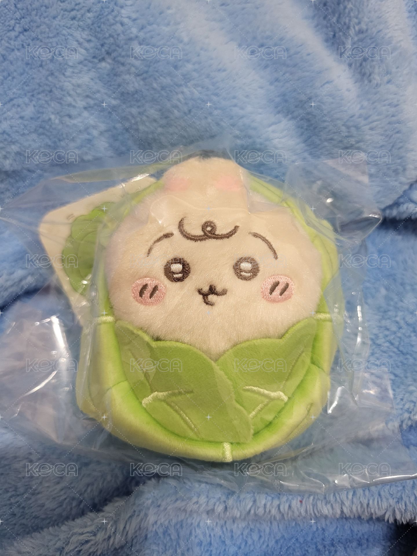 高麗菜兔