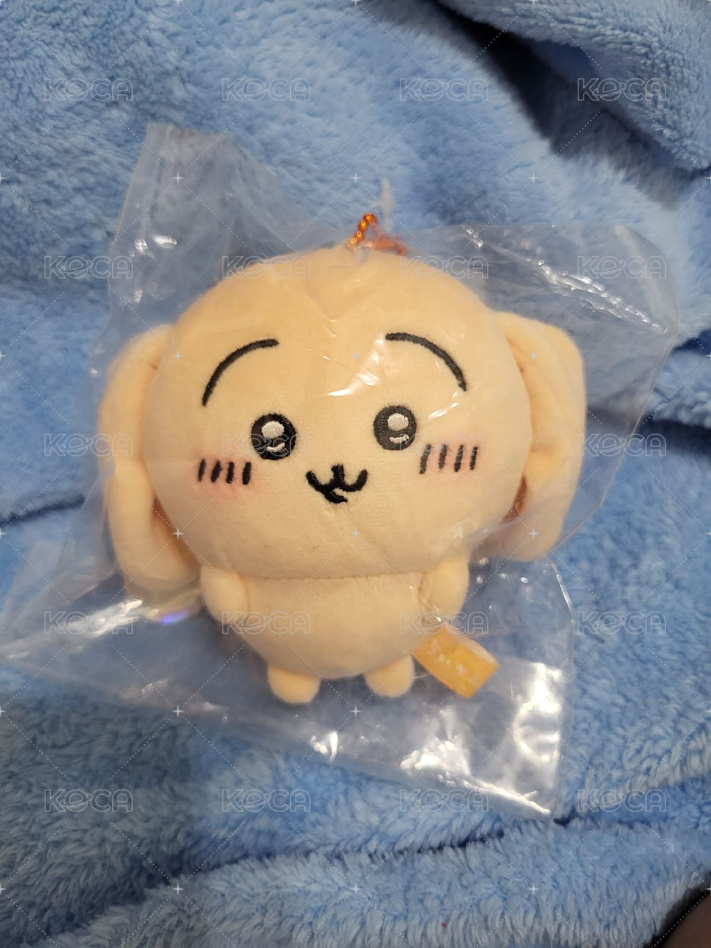 天貓垂耳兔