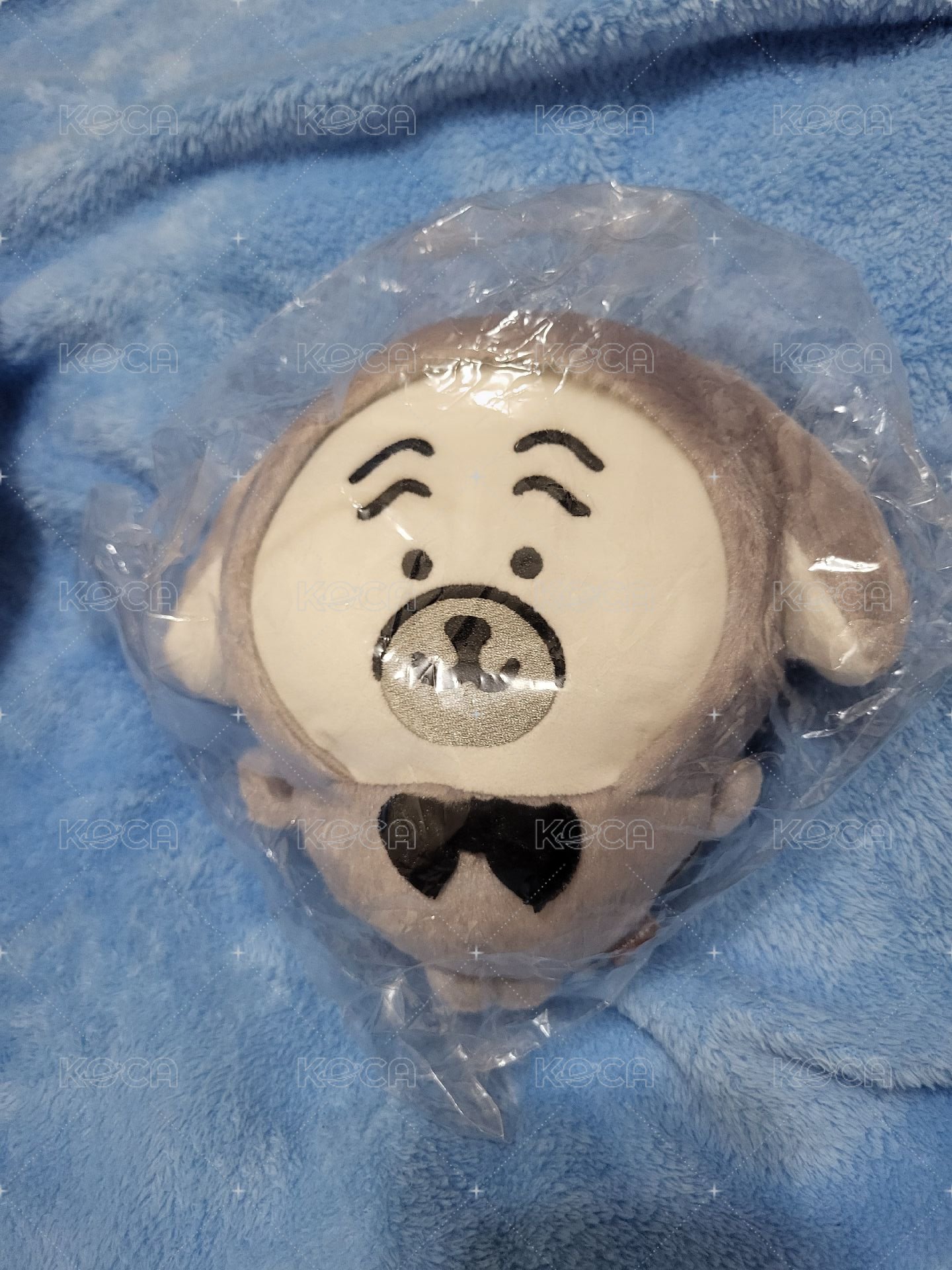 兔年巴哥