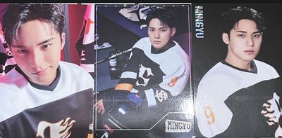 2025 SEVENTEEN's HOME卡包卡