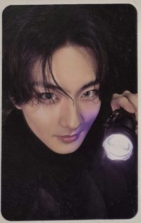 電子專 手電筒 貞元