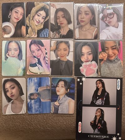 柴郡貓 各種簽售 特典 幸運卡