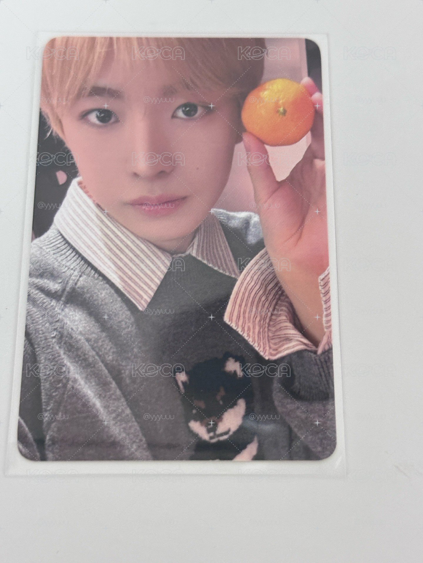 NCT WISH|yushi小卡 買多一點會送小卡