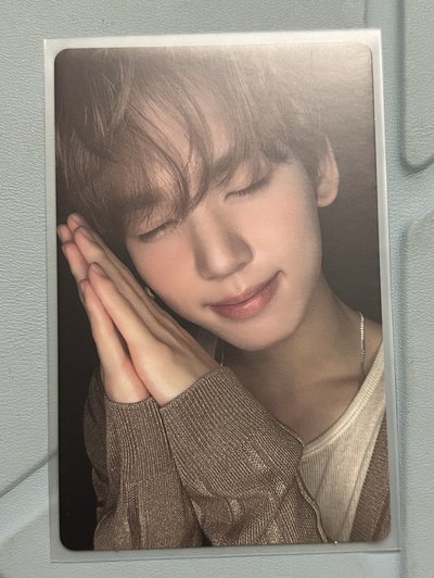 zb1 韓維辰 小卡 寶寶要睡了 比讚 比心 拿花 專卡 絲帶