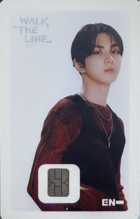 WTL世巡 交通卡 