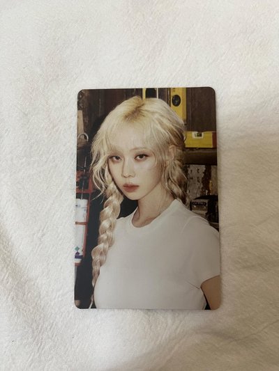 莎芭冬（送卡磚）