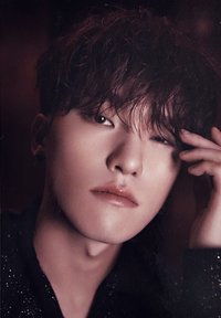 23’年曆 wvs 特典卡 預購特典明信片