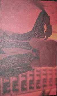 正規三 專輯卡 