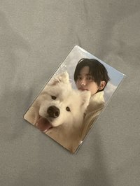 冬專單封專卡（薩摩耶）