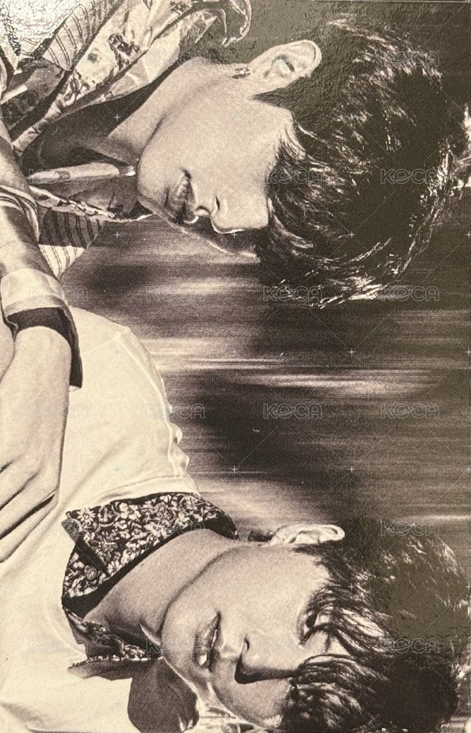 迷五 專輯卡 雙人卡 背面