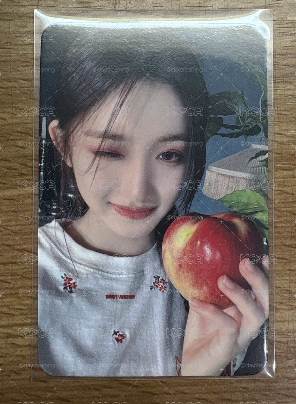 李瑞中文手寫卡背