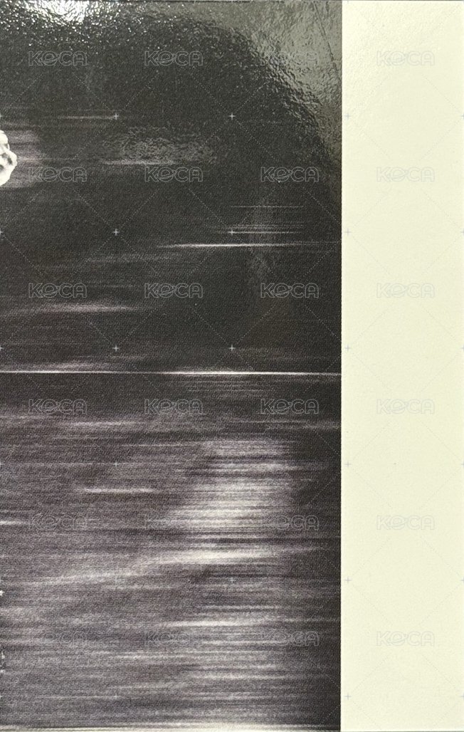 迷五 專輯卡 雙人卡 背面