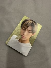 🤍迷二專卡（咬樹葉）