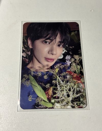 姜太顯 數星星中背