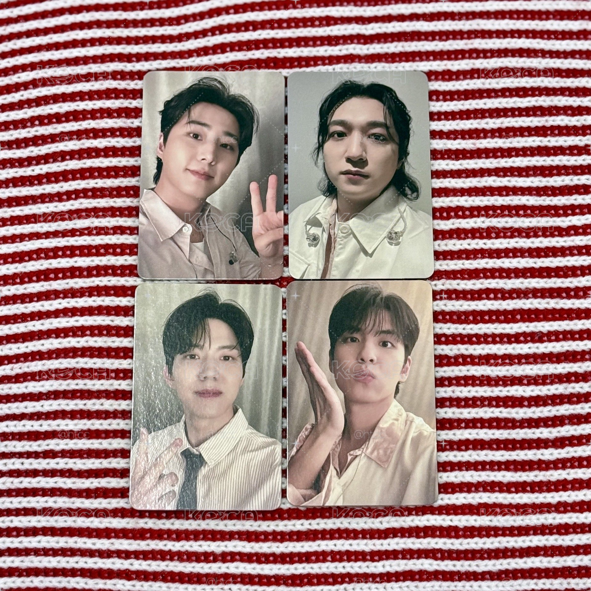 DAY6 FOREVERYOUNG安口場入場小卡 D5晟鎮 永哯 元弼 度雲 🐻🦊🐰🐶 성진 영케이 원필 도운