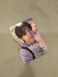 🤍迷三專卡（🐰🐶