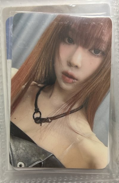 Drama wm 特典卡 冬