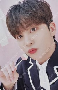 ANITEEZ IN ILLUSION 周邊卡 Photocard L Holder Set