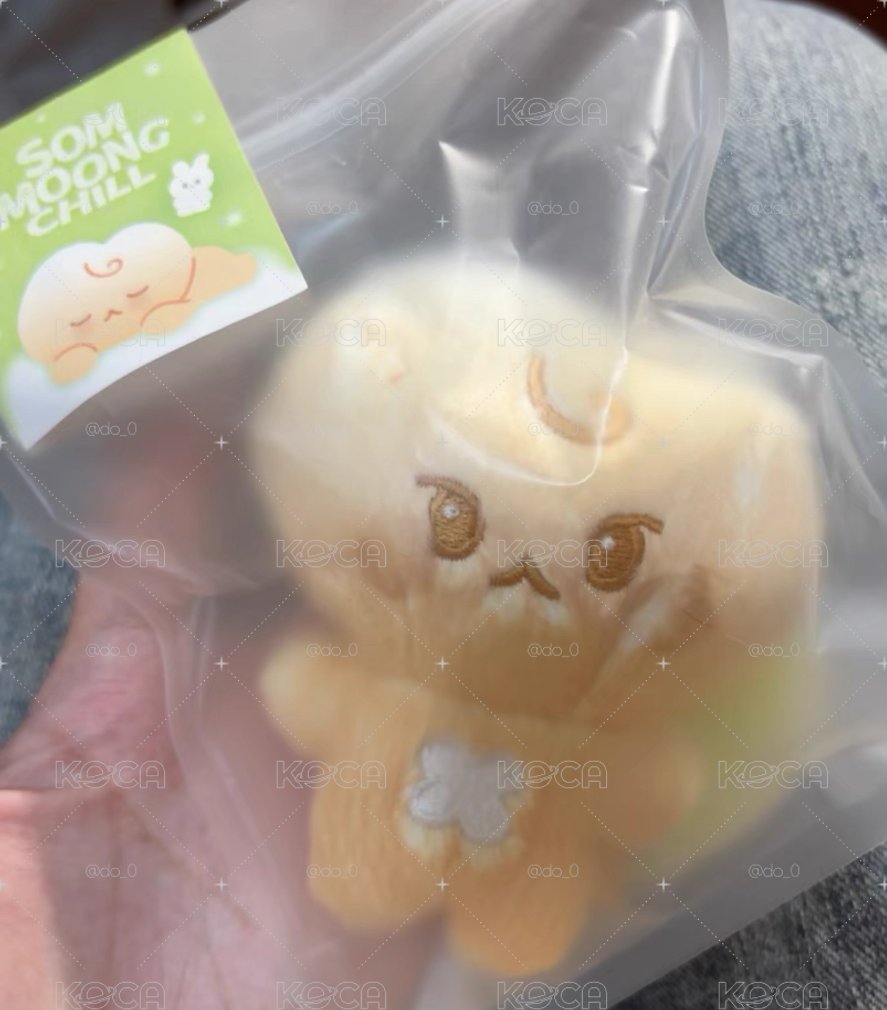 道貢包