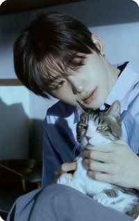 初次見面 塔店 特典卡 