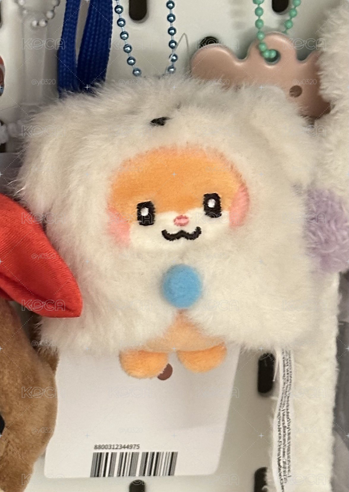 動物娃彬