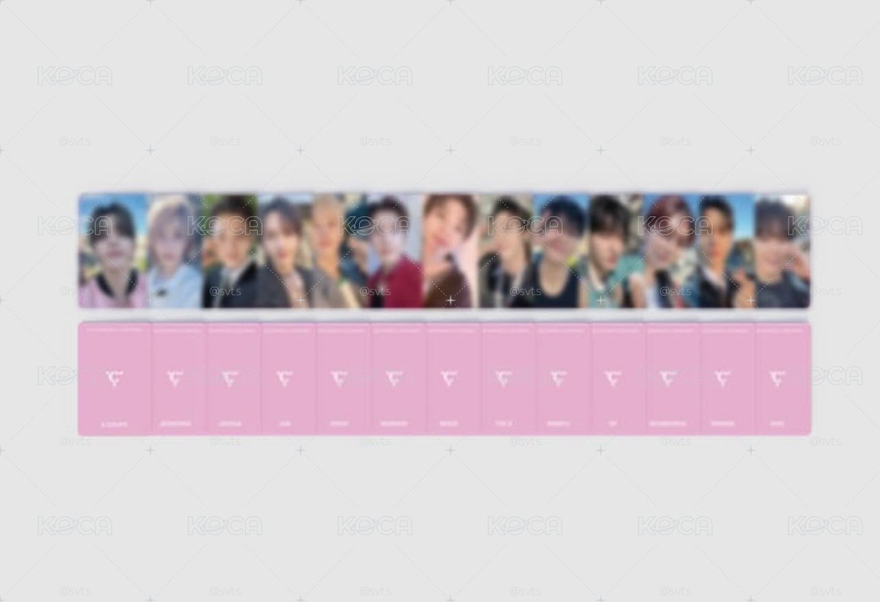Seventeen 十期會員禮小卡 十期會員小卡拆售 ｜俊 榮 八 寬 率 燦