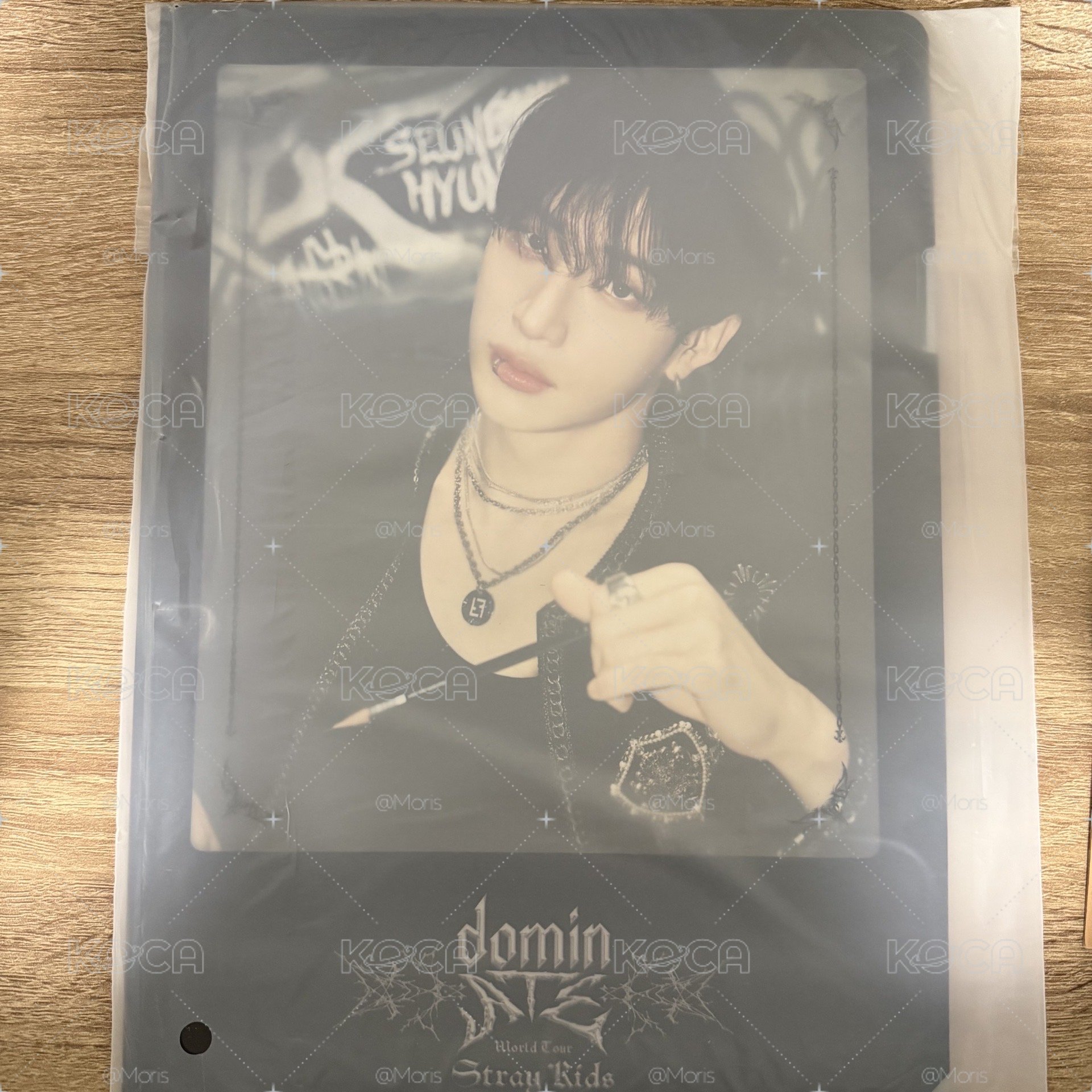 Stray kids 韓國 Dominate 周邊 L夾海報組 大卡