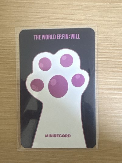 ATEEZ朴星化🐰「自由女神喵拳」