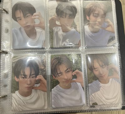 mini2 WVS預售特典（含鏡子卡）