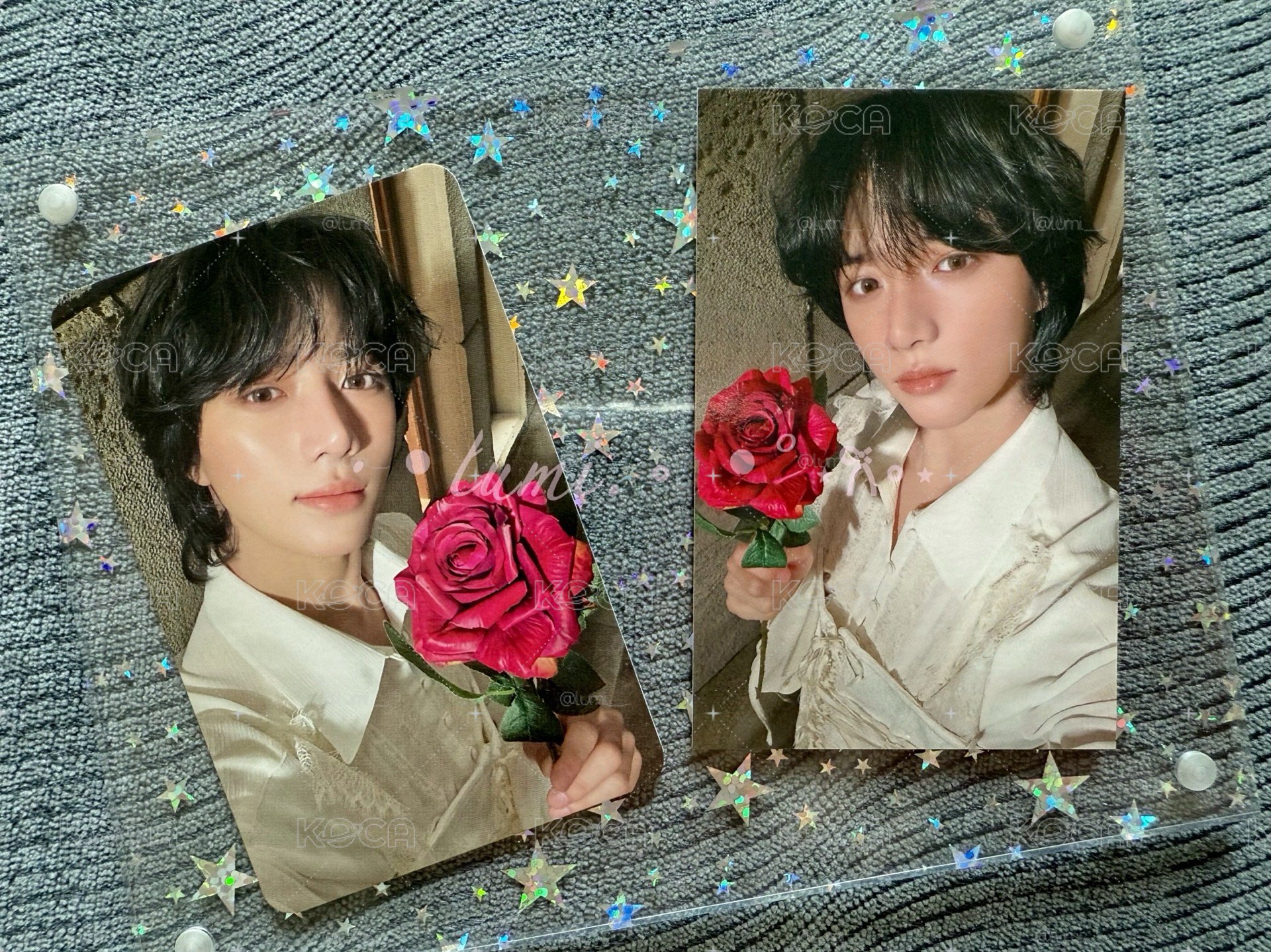 杋圭 玫瑰打歌卡🌹
