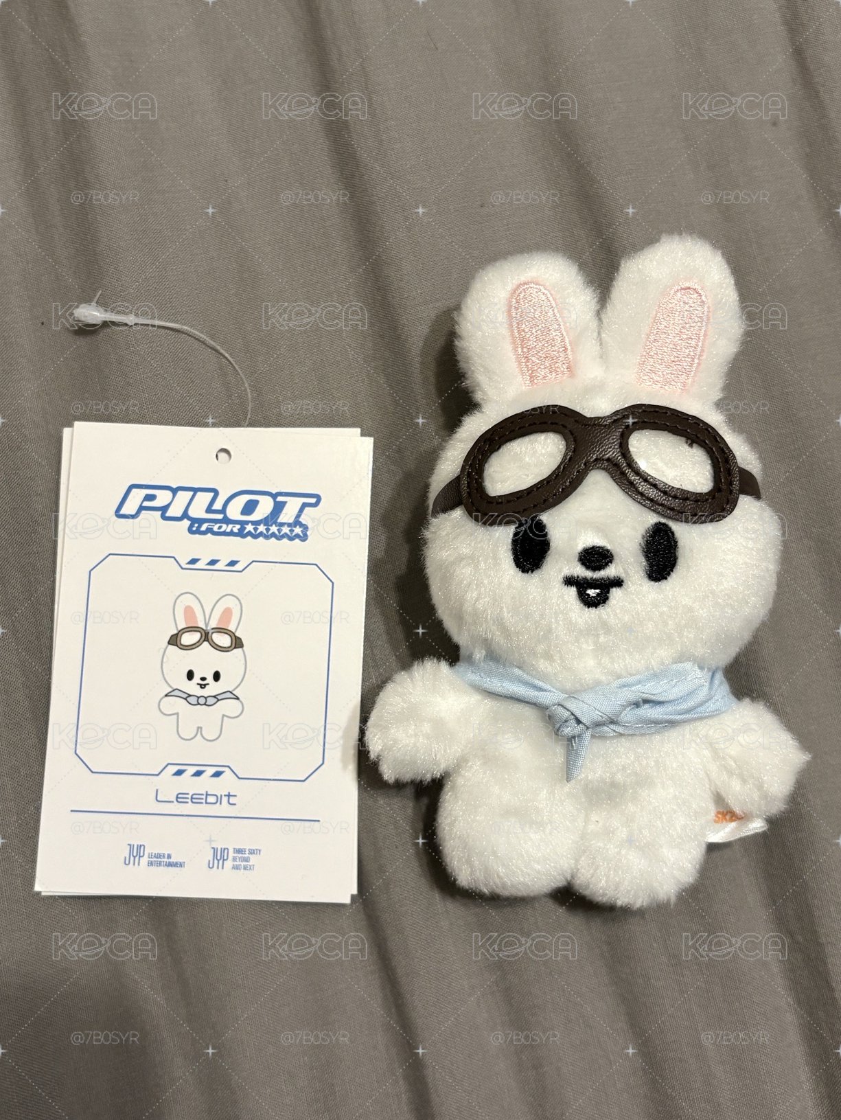 李畢飛行娃