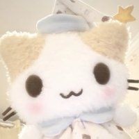 puppykittyyy