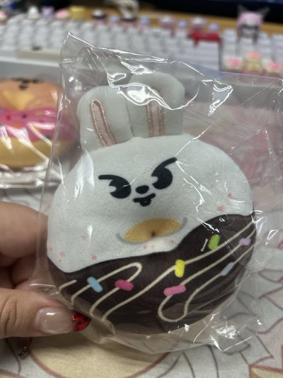 Straykids 日周快閃甜甜圈🍩未拆