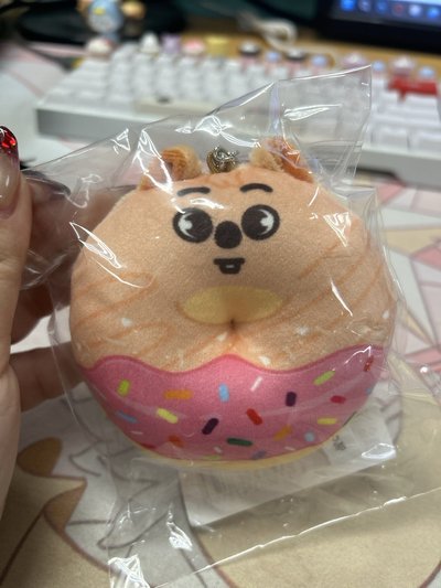 Straykids 日周快閃甜甜圈🍩未拆