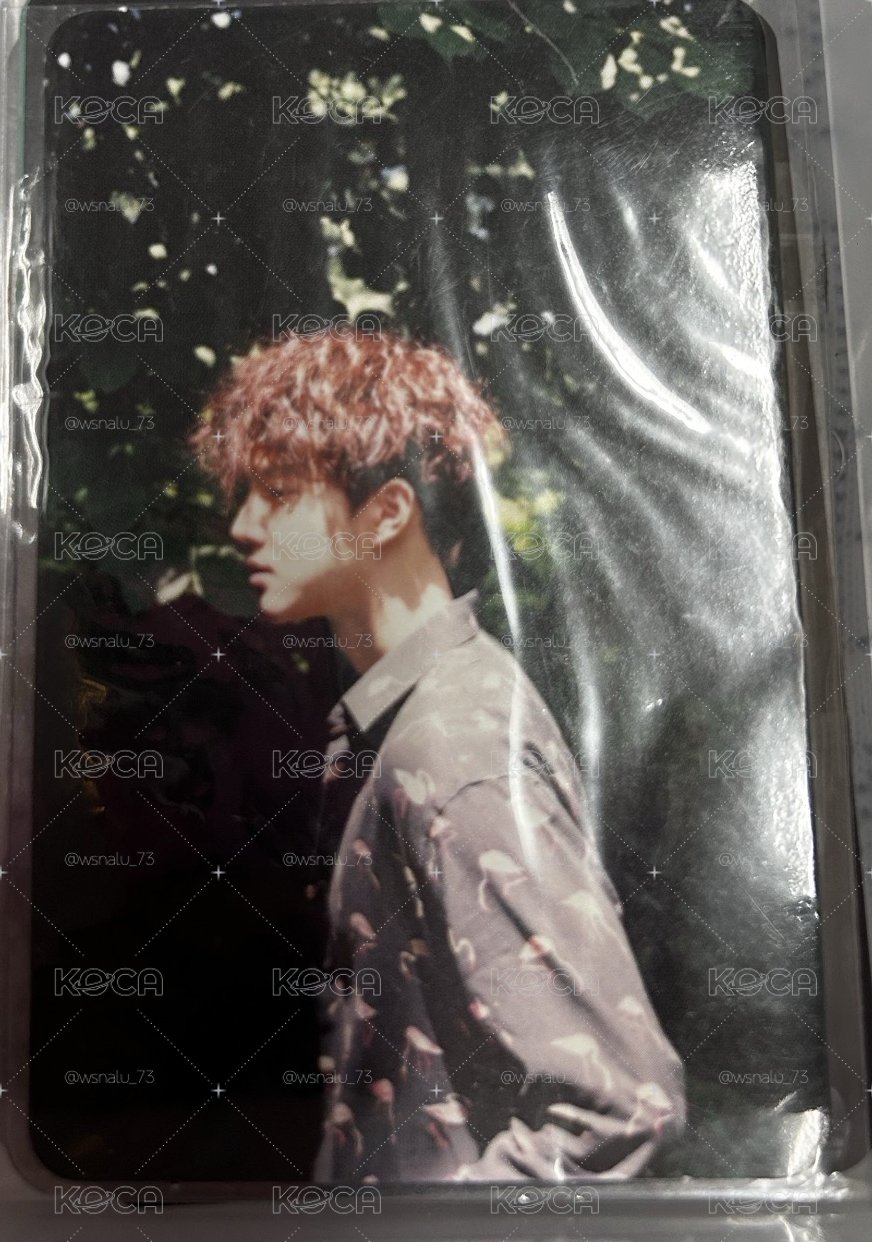 suho 俊勉 kokobop 
