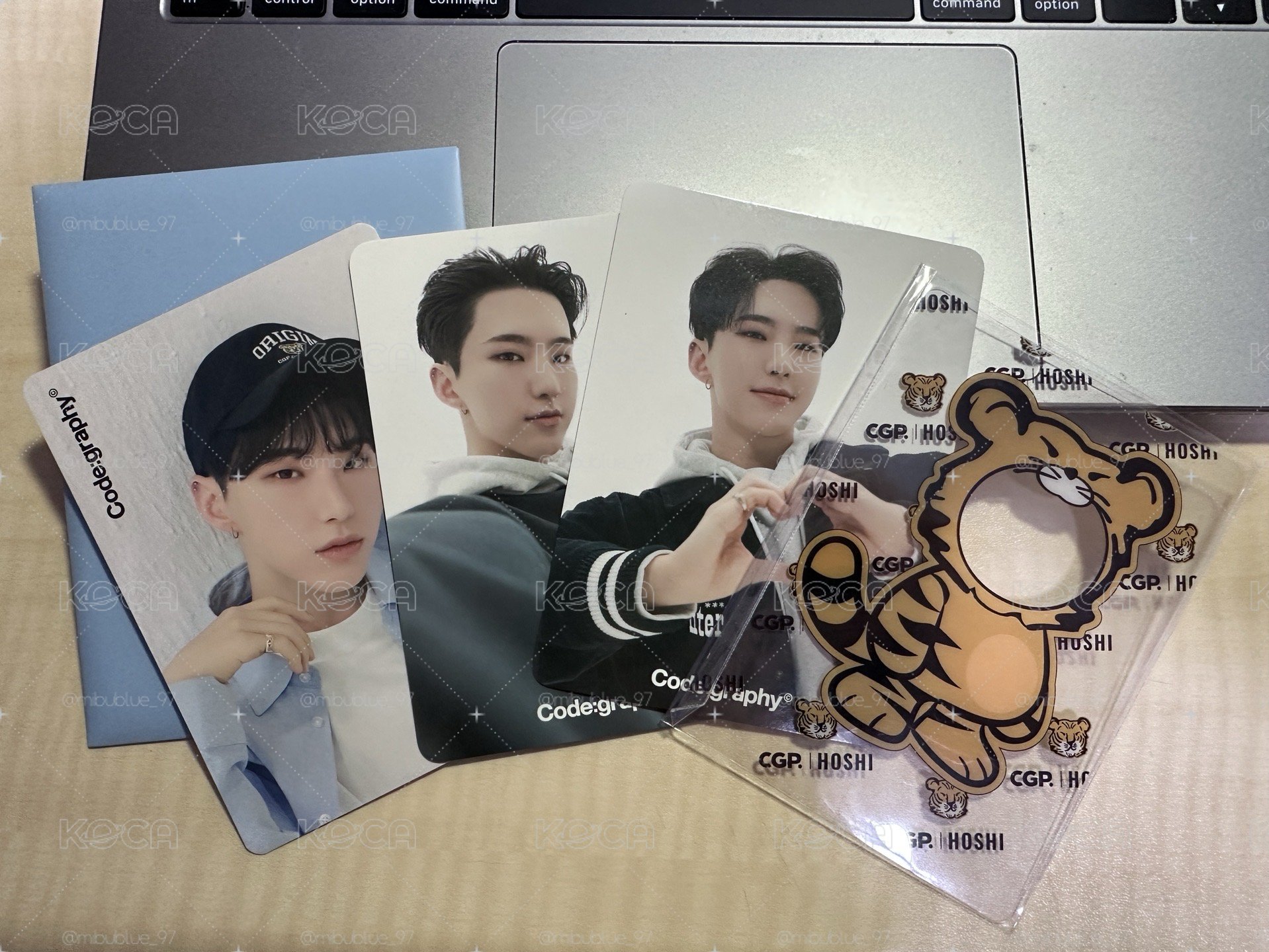 🐯Hoshi CGP代言卡 整組出