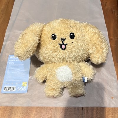 DOA 有原袋 碩珉 站娃