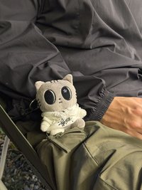 眉心 ฅ^•ﻌ•^ฅ