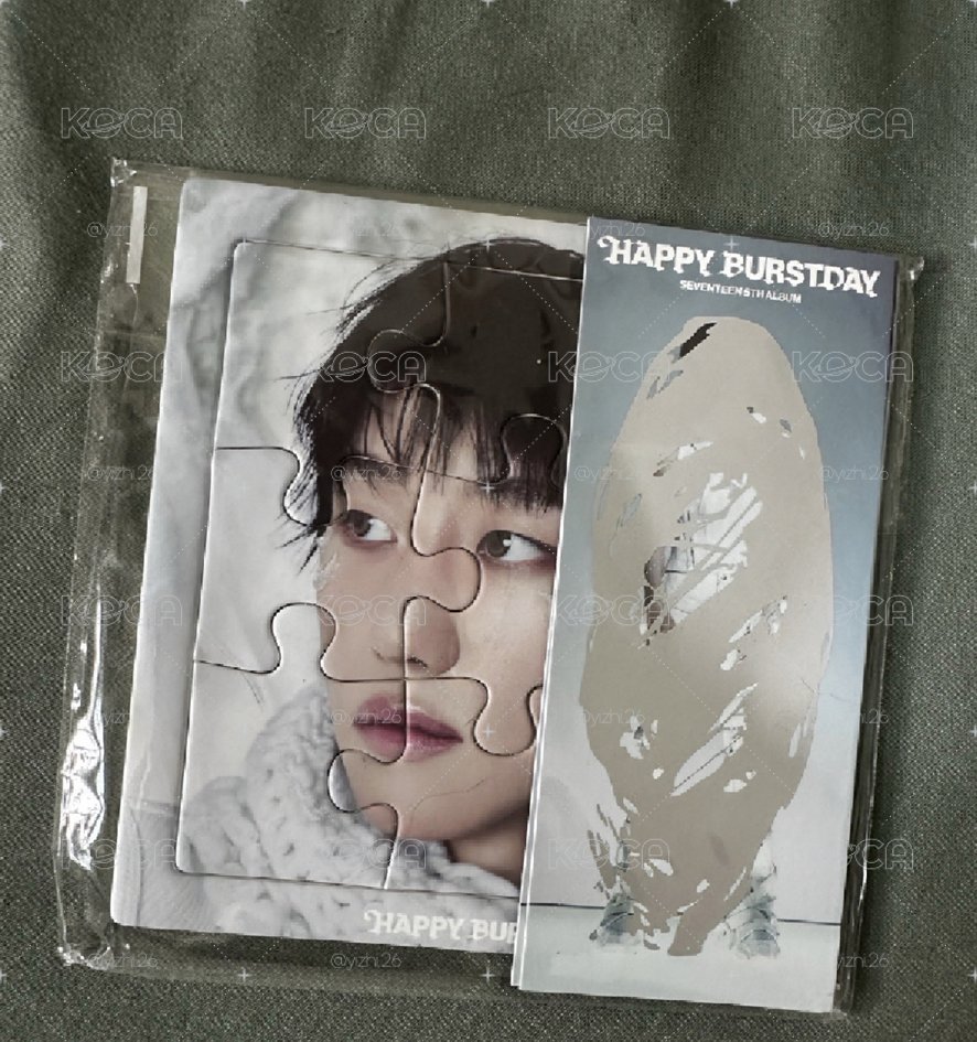 SEVENTEEN 空專 專輯小物
