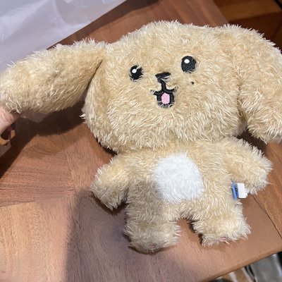 DOA 有原袋 碩珉 站娃