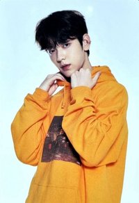 22 FANLIVE 隨機卡 