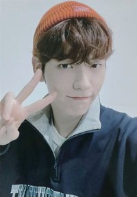 22 FANLIVE 周邊卡 衛衣卡