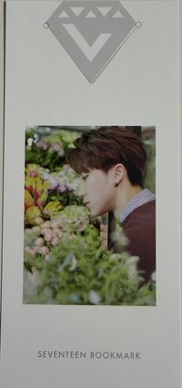 正規一 專輯卡 書籤