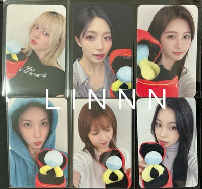 MS熊熊一套+台北16.0合影一套