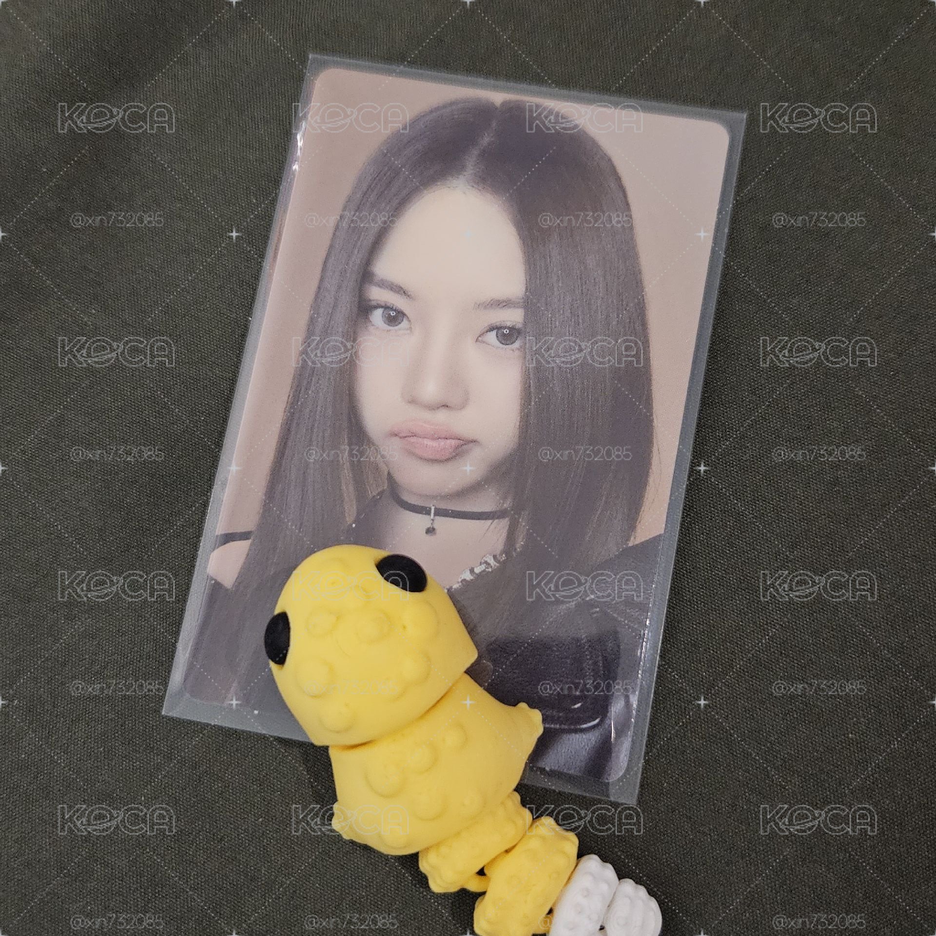 小鴨嘴貝🦆 專卡