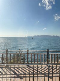 酒酒