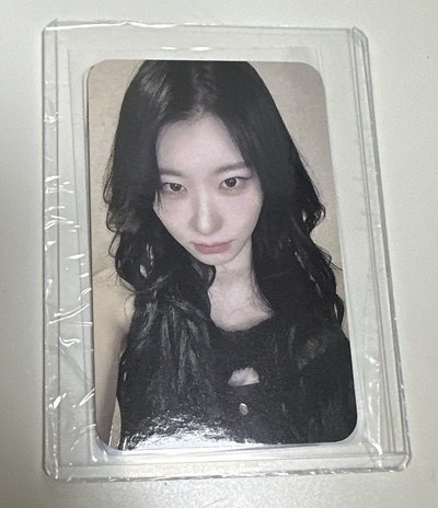 GOLD 數星星 彩領