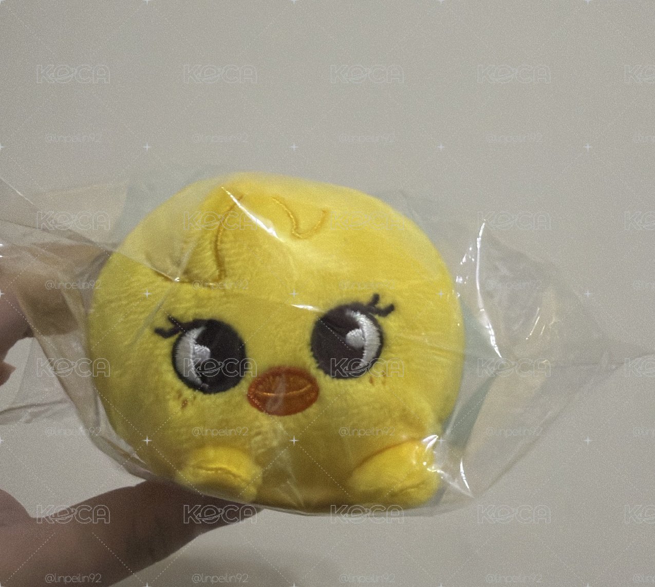 快閃店趴娃 菲