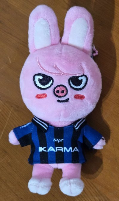 KARMA 娃專 彬 含特典