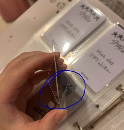 名古屋雙橙 
